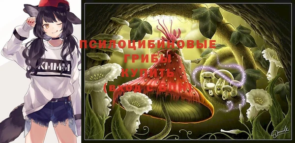 ПСИЛОЦИБИНОВЫЕ ГРИБЫ Алзамай