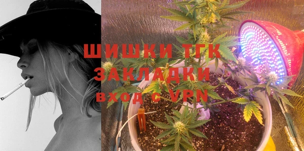 ПСИЛОЦИБИНОВЫЕ ГРИБЫ Алексин