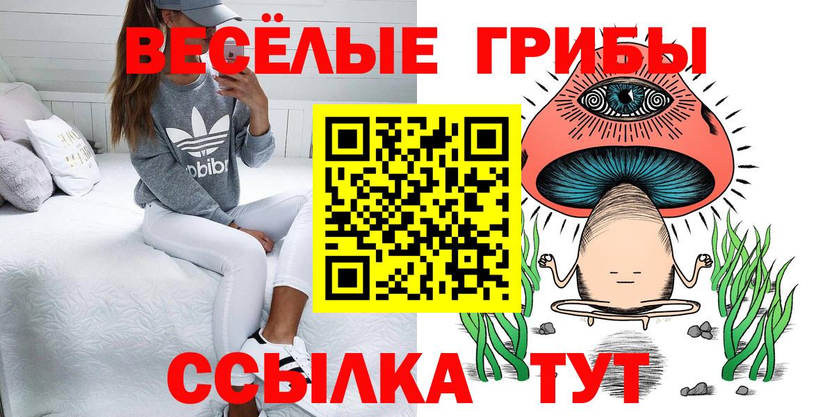Невинномысск  Галлюциногенные грибы ЛСД  Вход с VPN  Галлюциногенные грибы ЛСД 