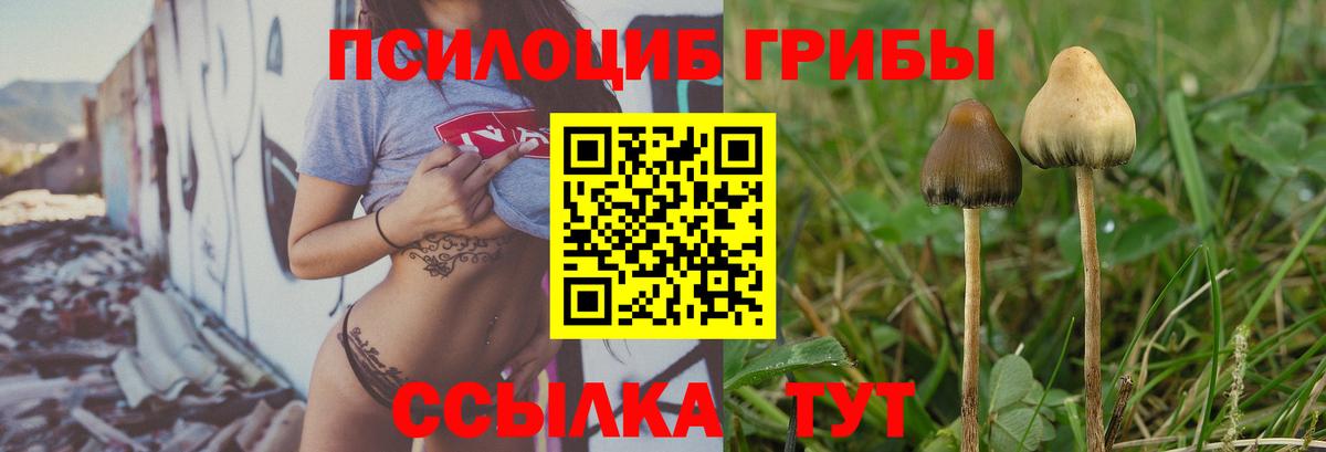 Псилоцибиновые грибы мухоморы Невинномысск
