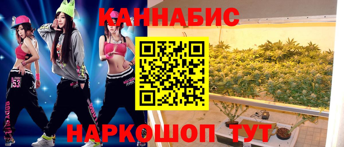 Каннабис OG Kush Невинномысск
